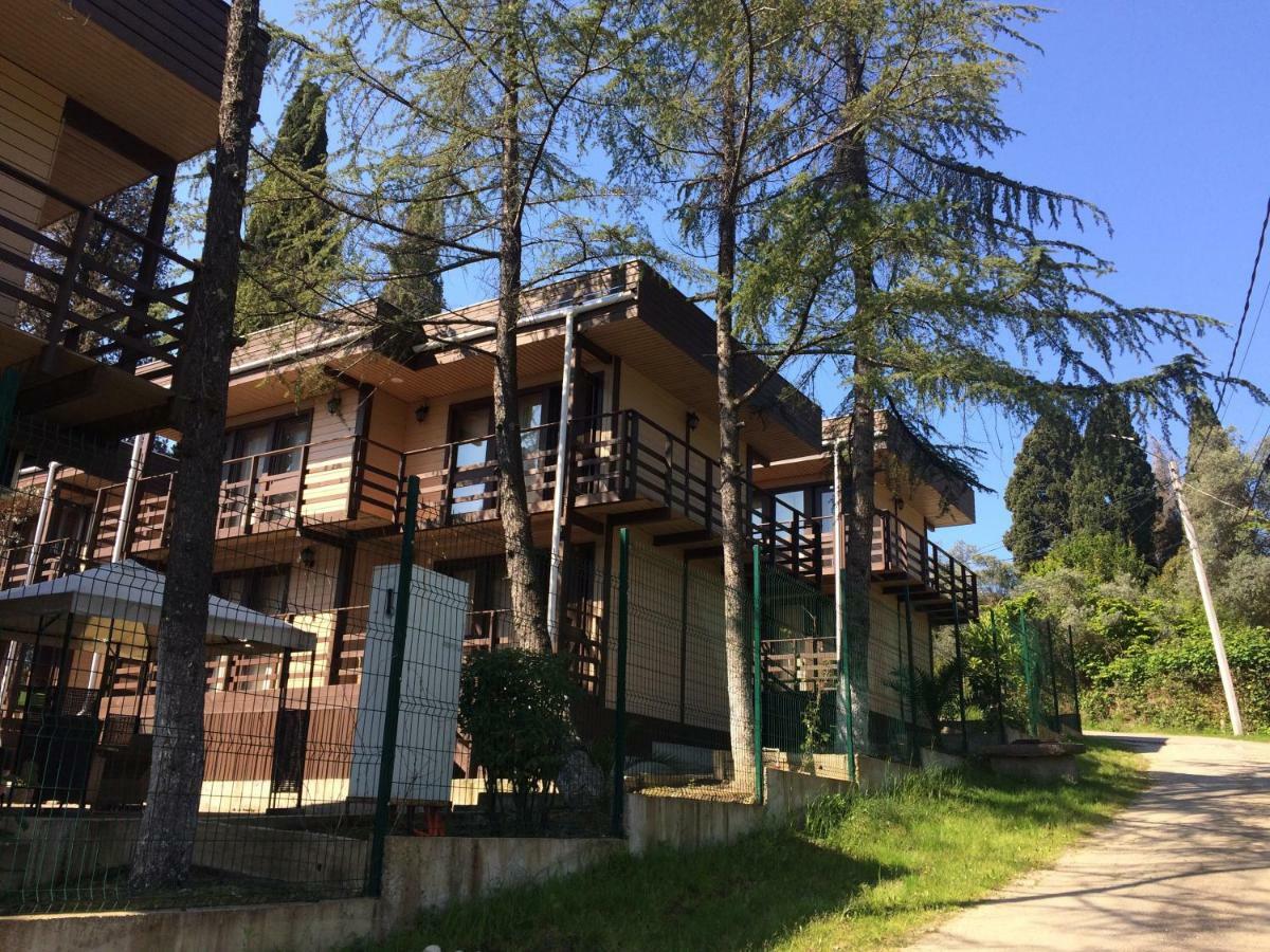 Hotel Eco Village New Athos Exteriér fotografie
